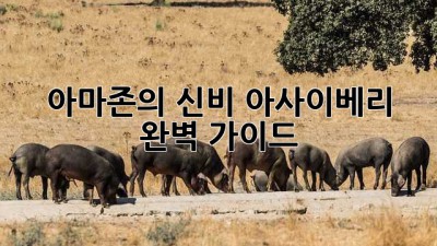 아마존의 신비, 아사이베리 완벽 가이드