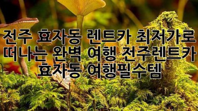 🚗 전주 효자동 렌트카, 최저가로 떠나는 완벽 여행! #전주렌트카 #효자동 #여행필수템