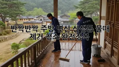 ✨반짝반짝✨ 주방 변신! #신생동 물때 제거 청소 완전정복🧹
